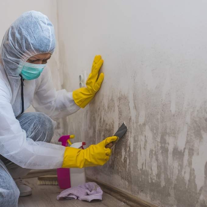 Mold Remediation In Iowa	Near Me Mold Remediation In Iowa	Near Me
